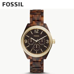 Fossil Tortoise Watch
